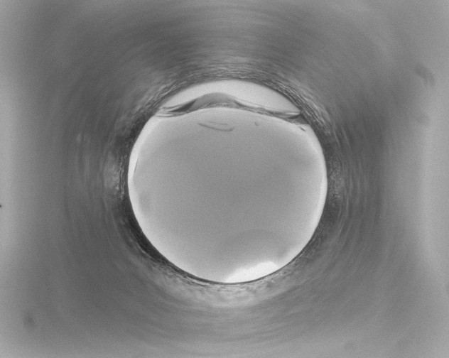 X0000115530031200912181536