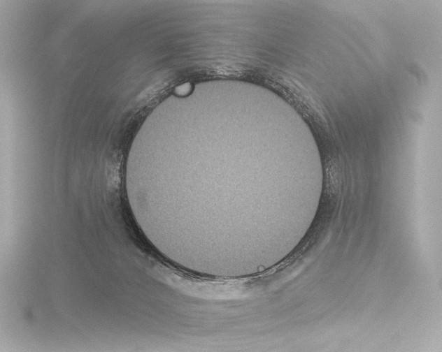 X0000115530032200912181536