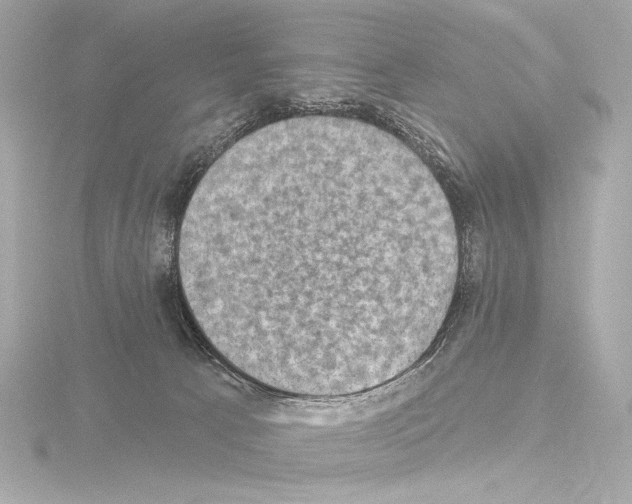 X0000115530033200912181536