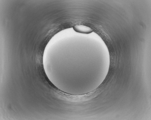 X0000115530035200912181536