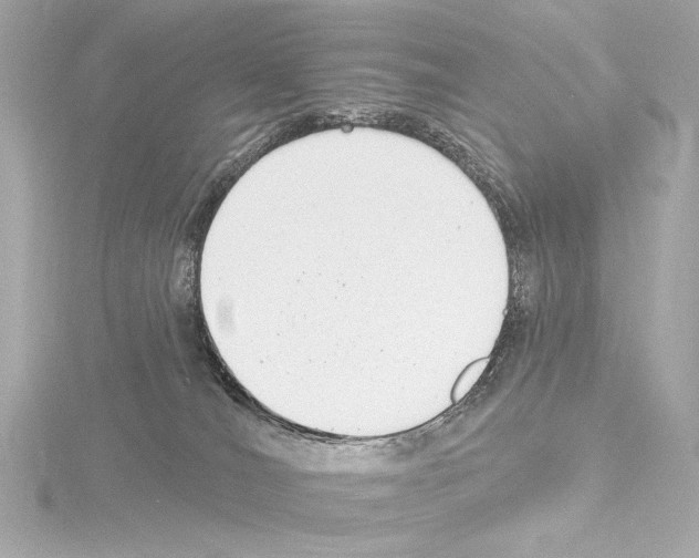 X0000115530036200912181536