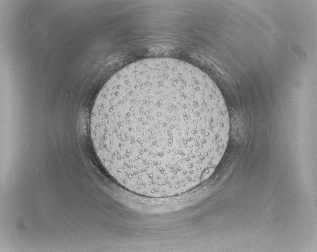 X0000115530038200912181536