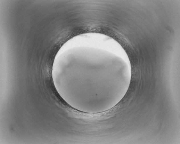 X0000115530039200912181536