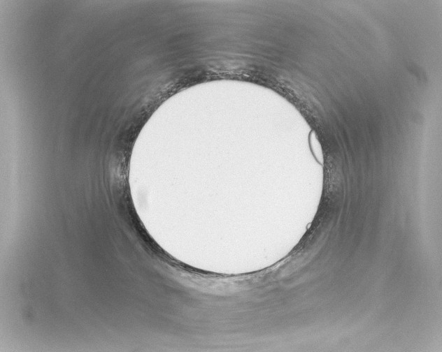 X0000115530040200912181536