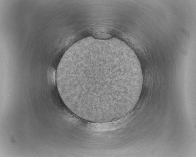 X0000115530041200912181536