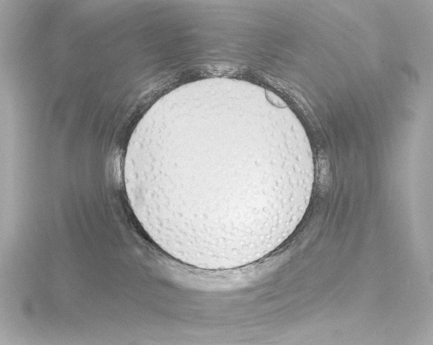 X0000115530042200912181536