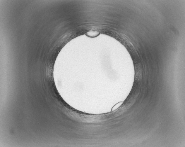 X0000115530044200912181536