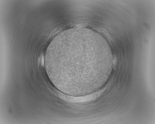 X0000115530046200912181536