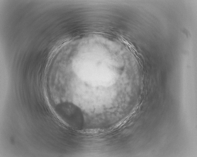 X0000115530049200912181535