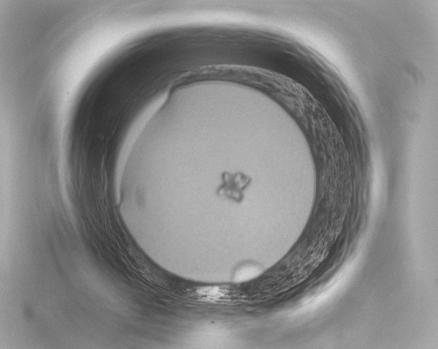 X0000115530050200912181535