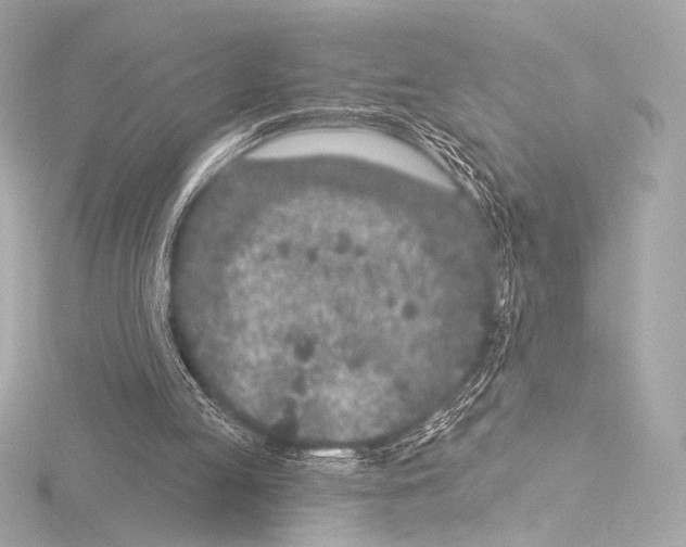 X0000115530053200912181535