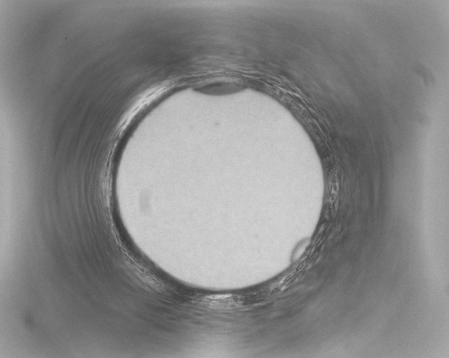 X0000115530054200912181535