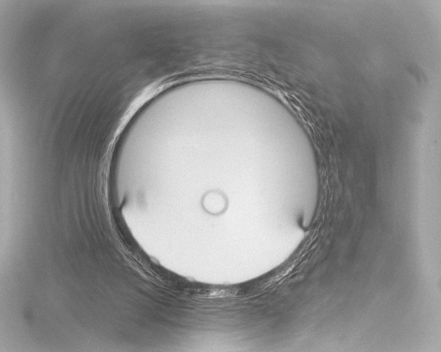 X0000115530056200912181535