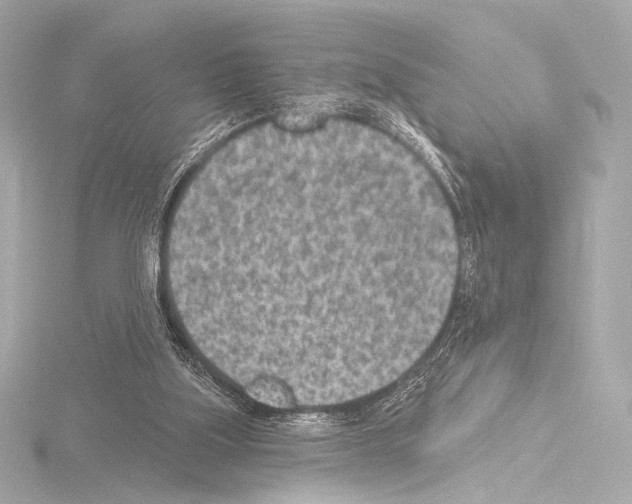 X0000115530059200912181535