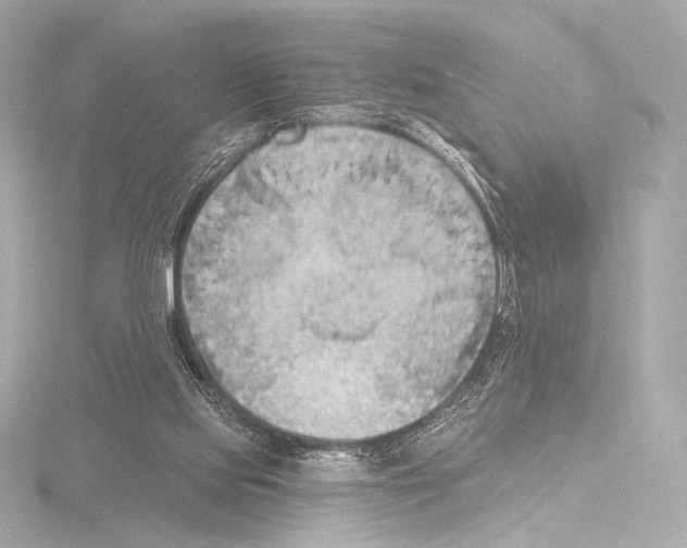 X0000115530061200912181535