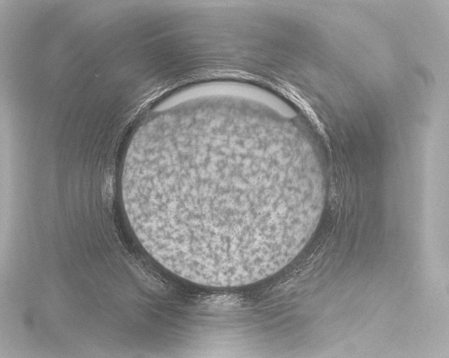 X0000115530063200912181535