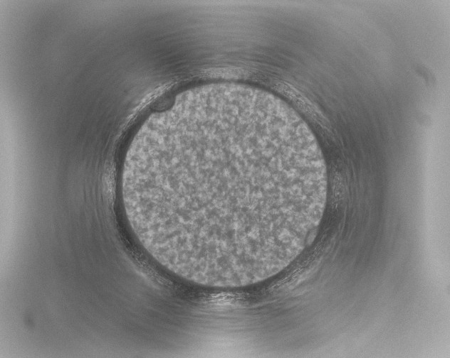 X0000115530064200912181535