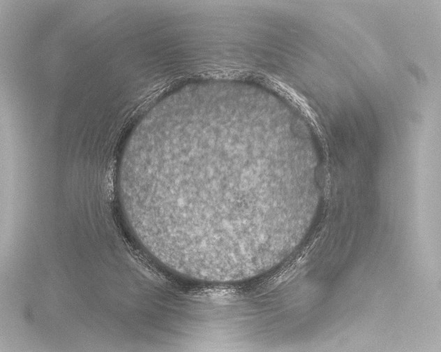 X0000115530065200912181535