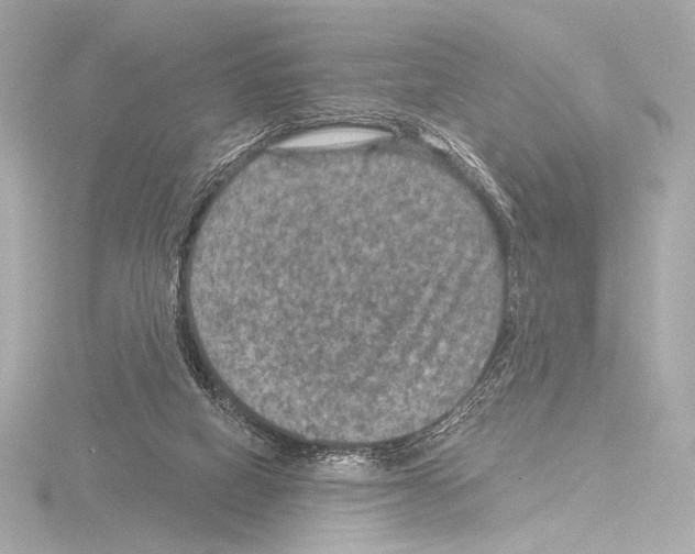 X0000115530066200912181535