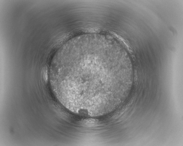 X0000115530069200912181535