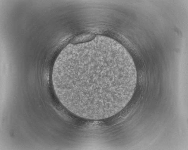 X0000115530072200912181535