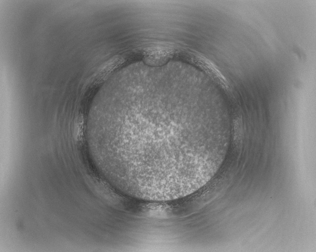 X0000115530073200912181535