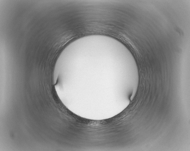 X0000115530076200912181535