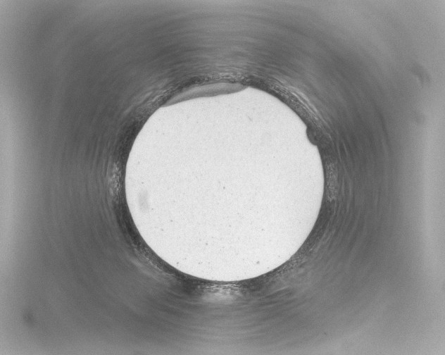 X0000115530077200912181535