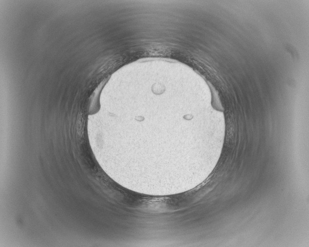 X0000115530078200912181535