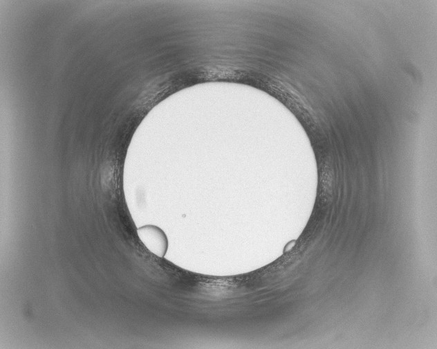 X0000115530079200912181535