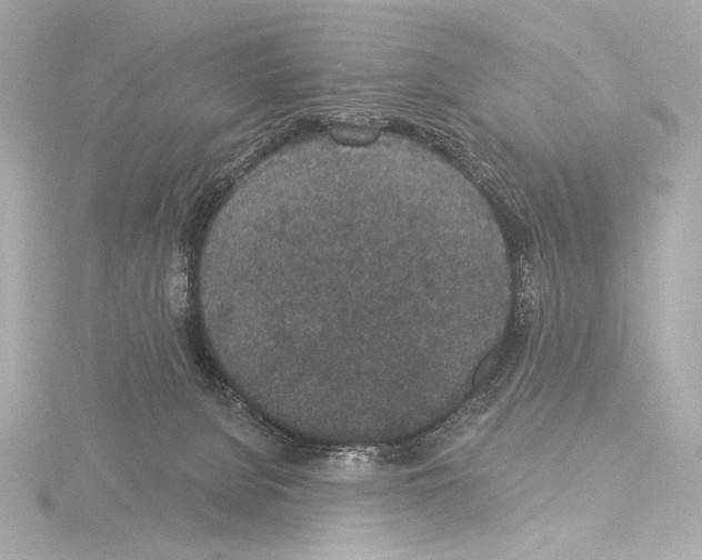 X0000115530080200912181535