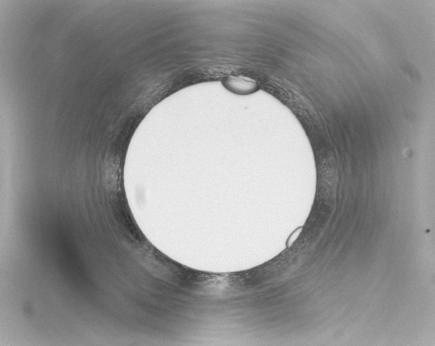 X0000115530083200912181536