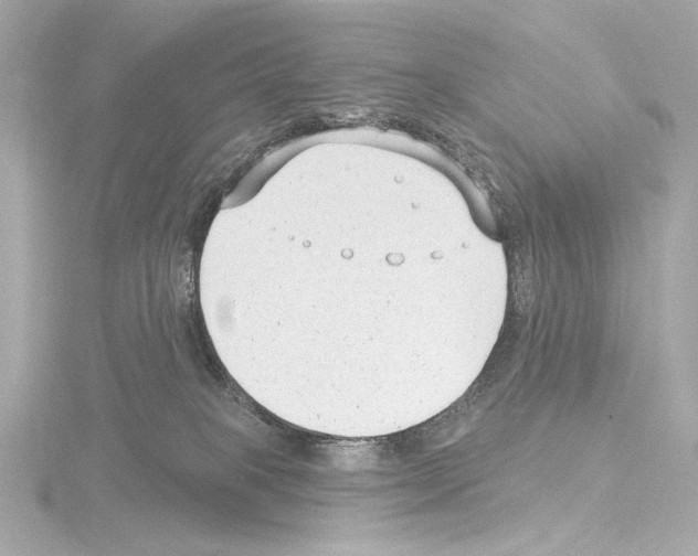 X0000115530085200912181536