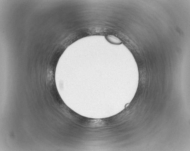 X0000115530087200912181536