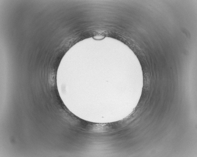 X0000115530090200912181536