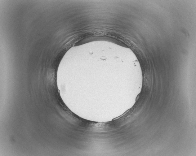 X0000115530092200912181536