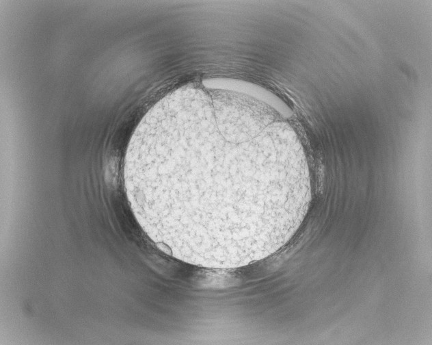 X0000115530093200912181536