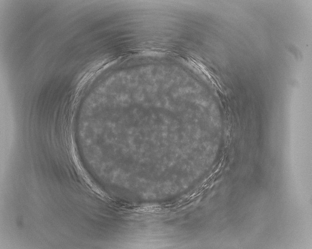 X0000115530097200912181535