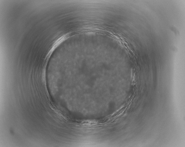 X0000115530099200912181535