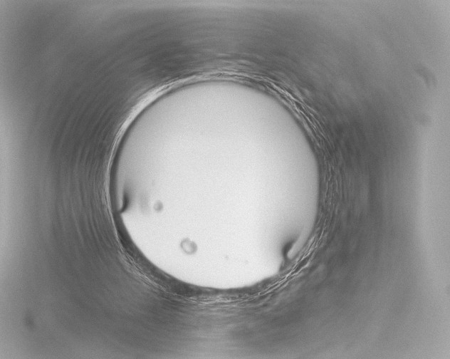 X0000115530100200912181535