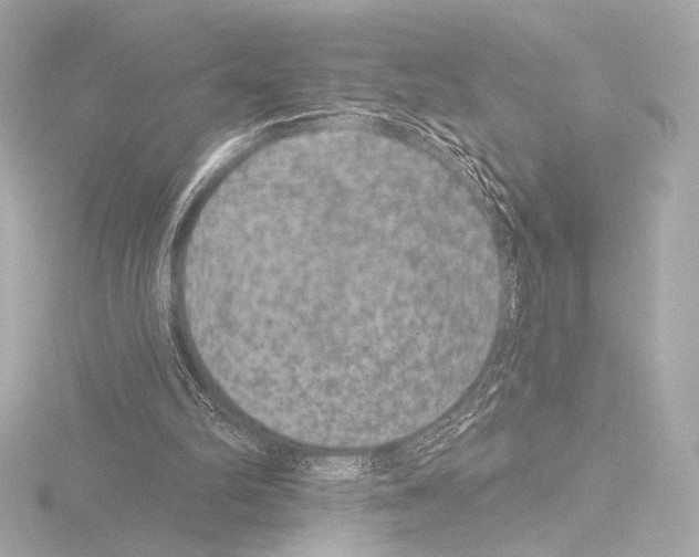 X0000115530102200912181535