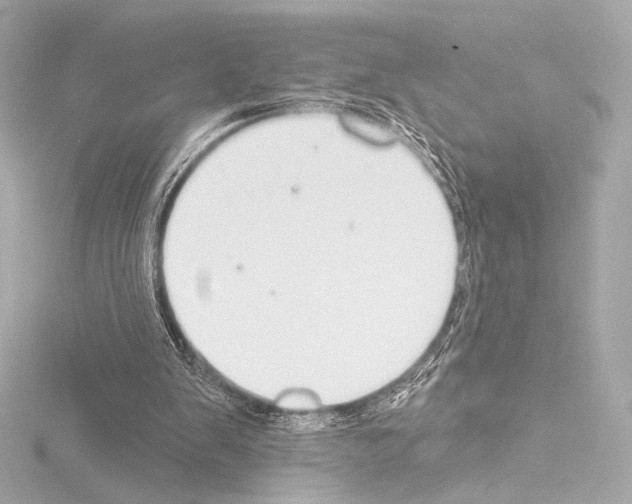 X0000115530103200912181535