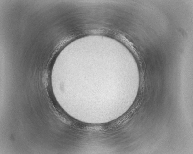 X0000115530106200912181535