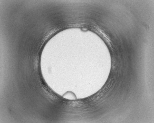 X0000115530107200912181535