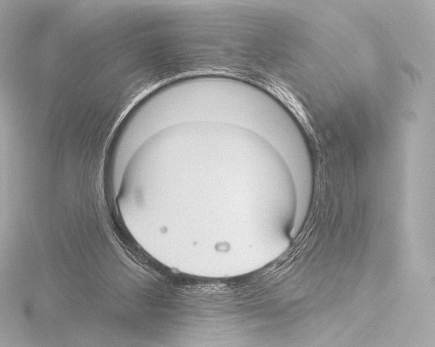 X0000115530108200912181535