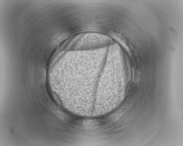 X0000115530109200912181535