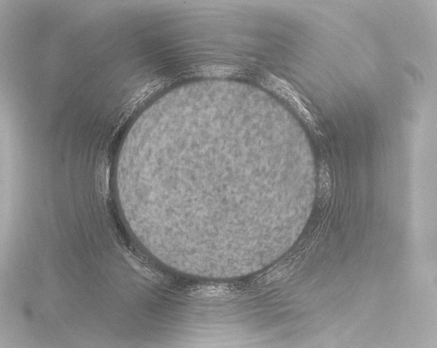 X0000115530110200912181535