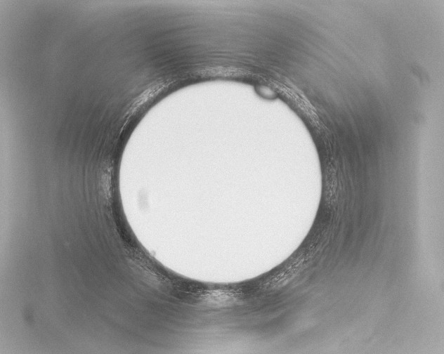 X0000115530111200912181535