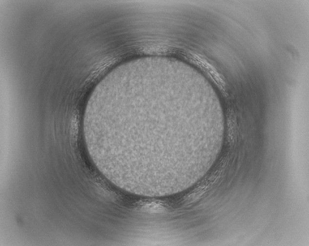 X0000115530113200912181535