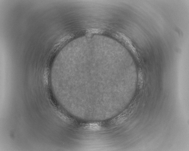 X0000115530114200912181535